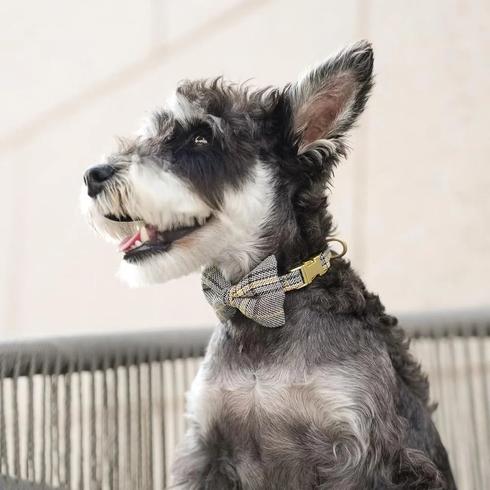 XMSJ Cute Adjustable Dog Harness Leash Set For Pets