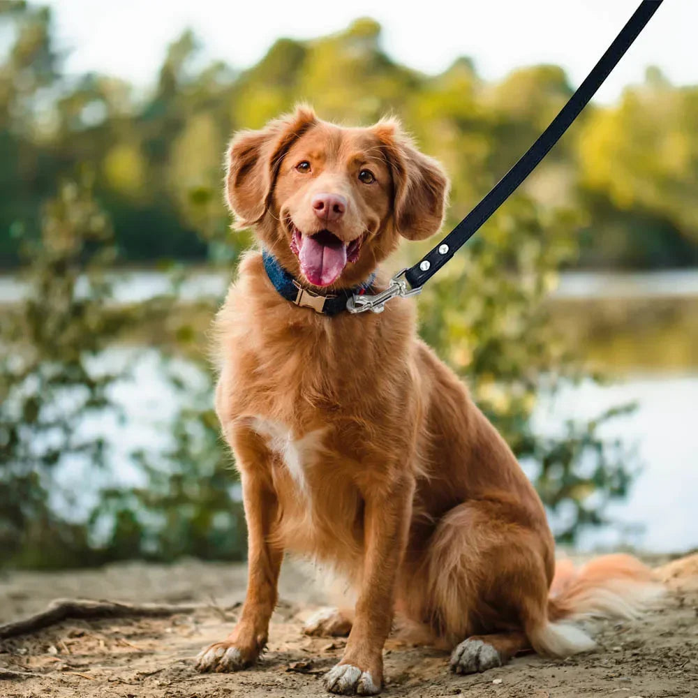 YTYINCN Leather Dog Leash For Pets Durable Walking Lead With Comfortable Handle Grip