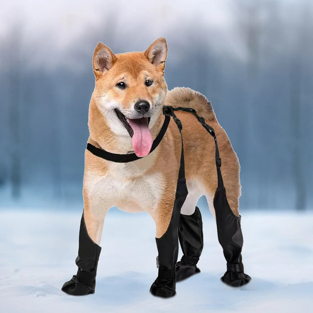 Guangdong CN Dog Boots Waterproof Outdoor Paw Protectors