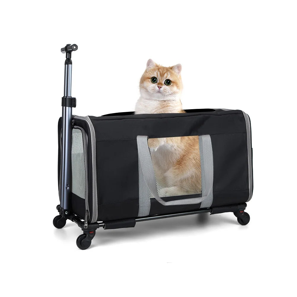 Cat Trolley Carrier With Wheels And Safety Belts For Travel