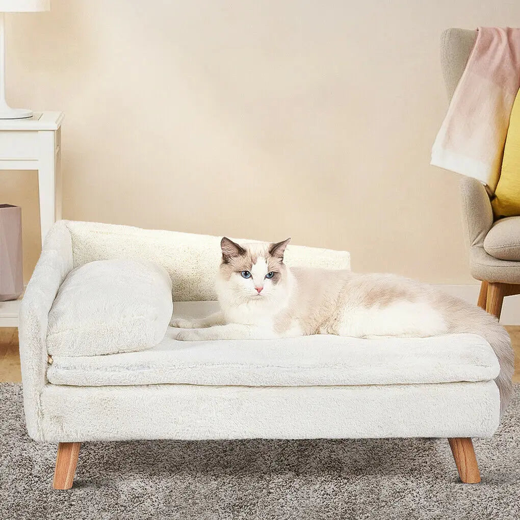 Guangdong Elevated Pet Bed With Solid Wood Legs Indoor Sofa