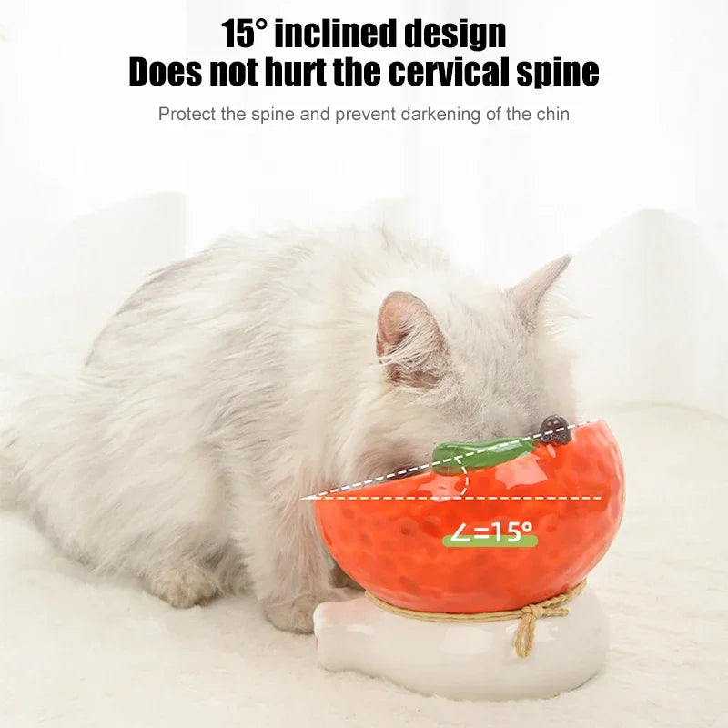 Elevated Cat Fruit Ceramic Bowl For Pets Food And Water