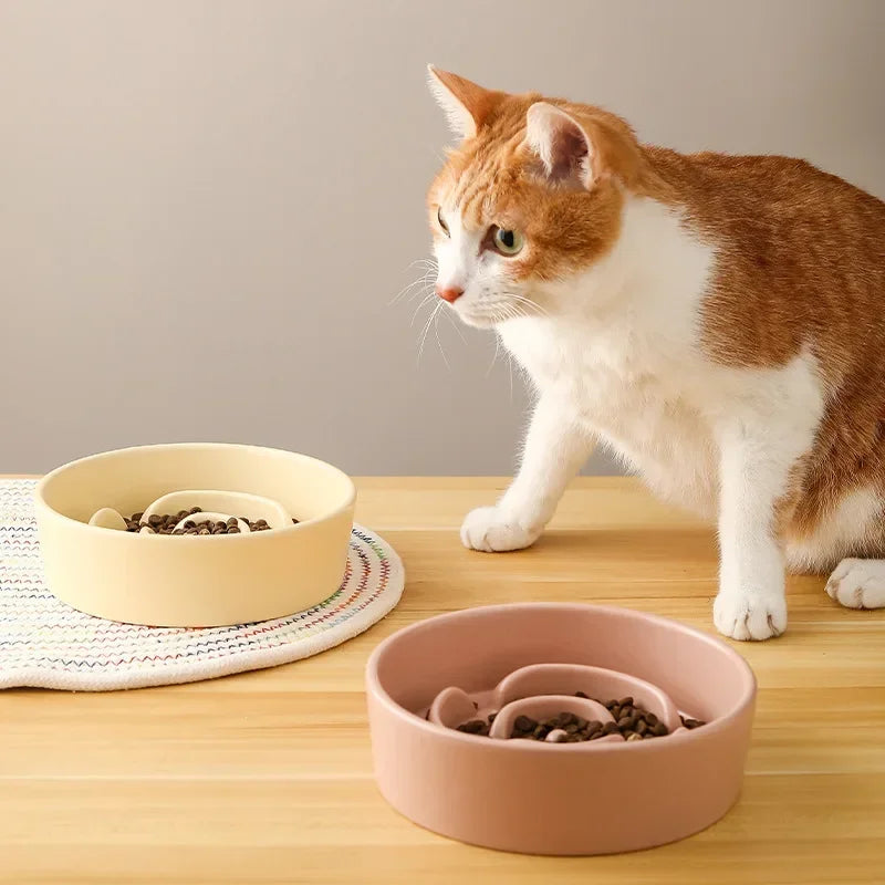 Ceramic Slow Feeder Bowl for Cats and Dogs Anti Choke