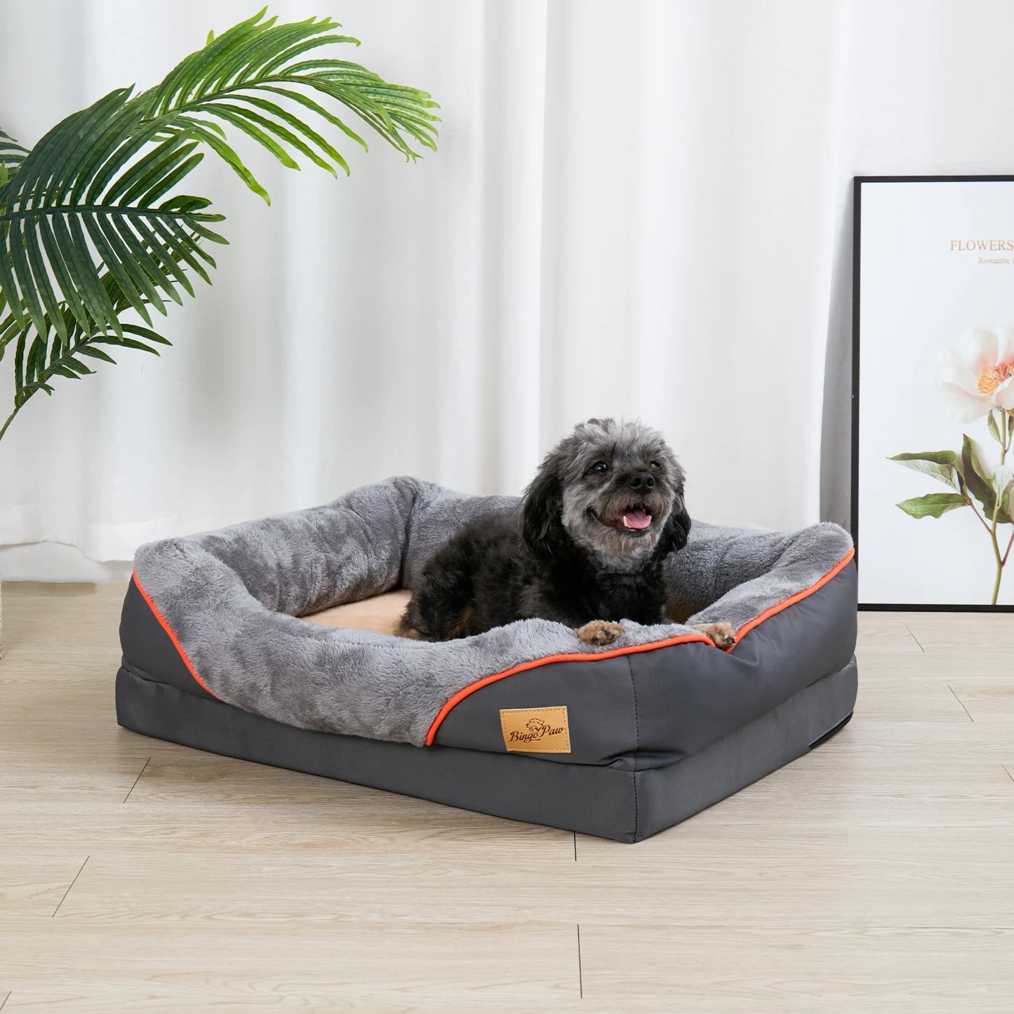 BINGOPAW Super Soft Orthopedic Foam Dog Bed With Removable Cotton Cover