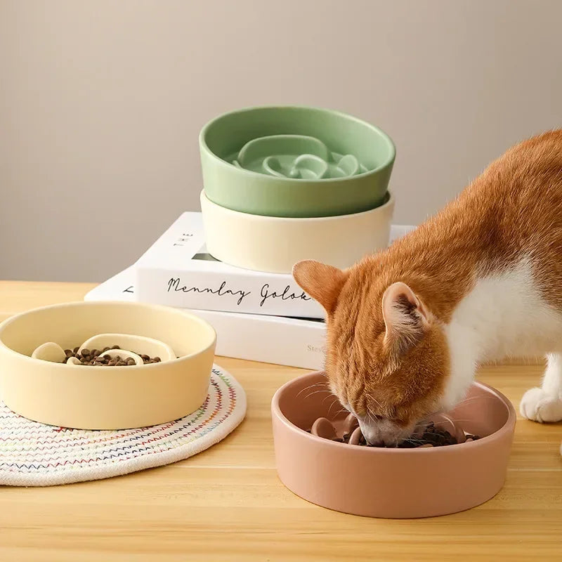 Ceramic Slow Feeder Bowl for Cats and Dogs Anti Choke