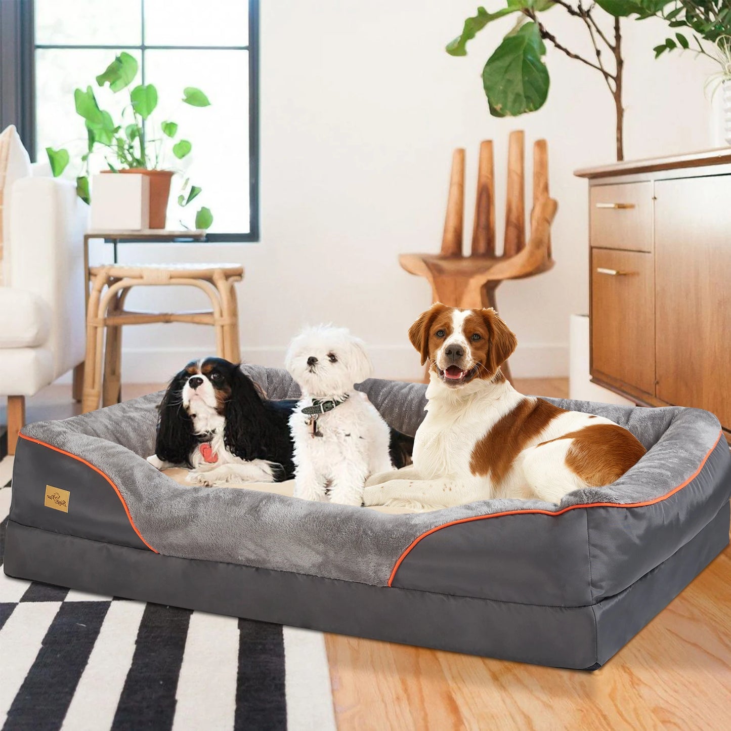 BINGOPAW Super Soft Orthopedic Foam Dog Bed With Removable Cotton Cover