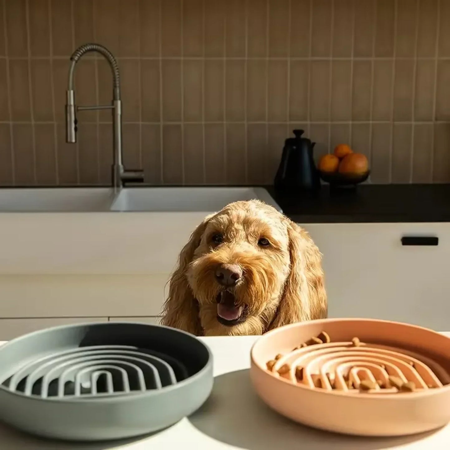 Hign-concerned Slow Feeder Dog Bowl Round Silicone Anti-Choking