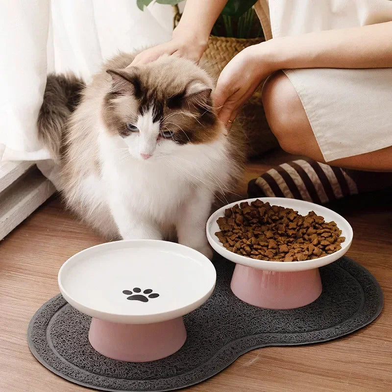 Hign-concerned Ceramic Cat Bowl Pet Dish For Cats And Kittens