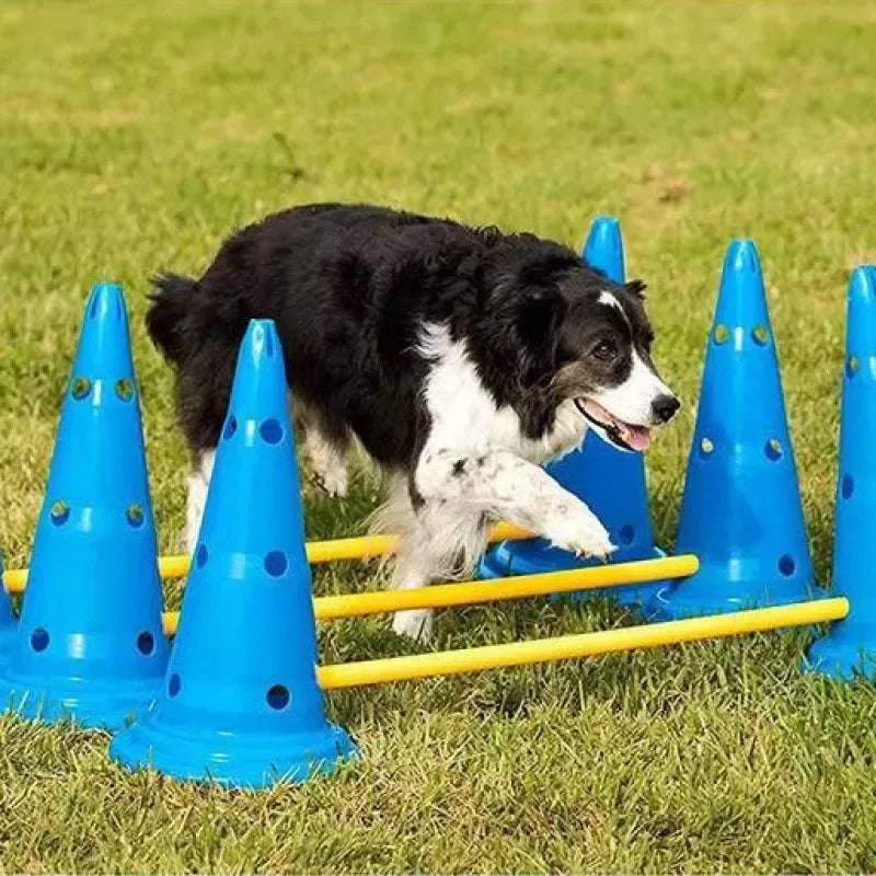 Dog Agility Training Set Jumping Bar Obstacle Hurdle Equipment