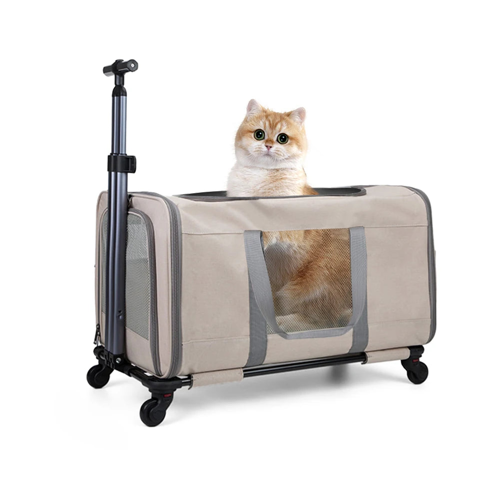 Cat Trolley Carrier With Wheels And Safety Belts For Travel