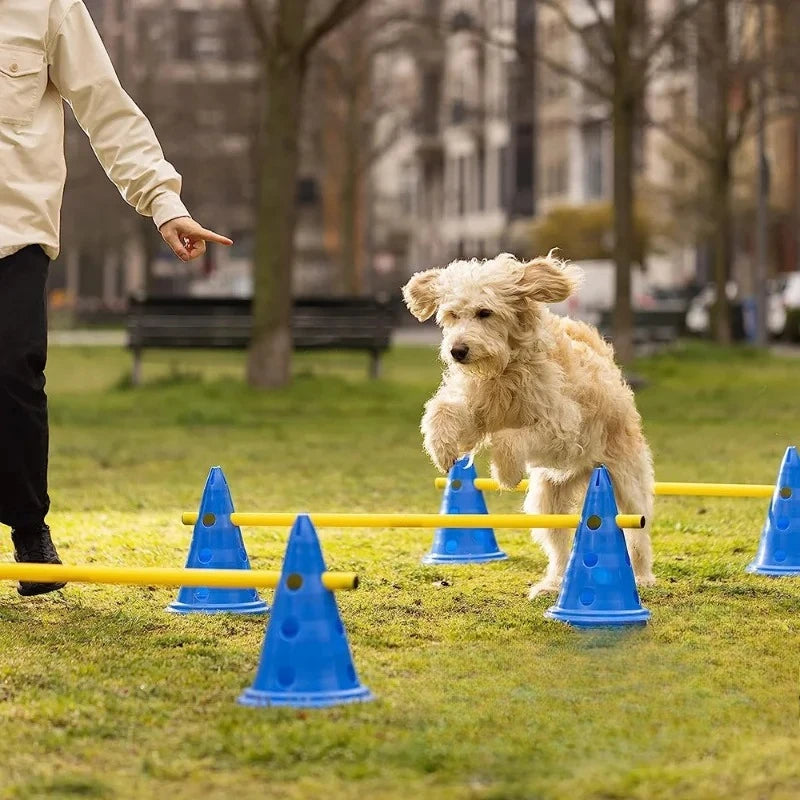 Dog Agility Training Set Jumping Bar Obstacle Hurdle Equipment