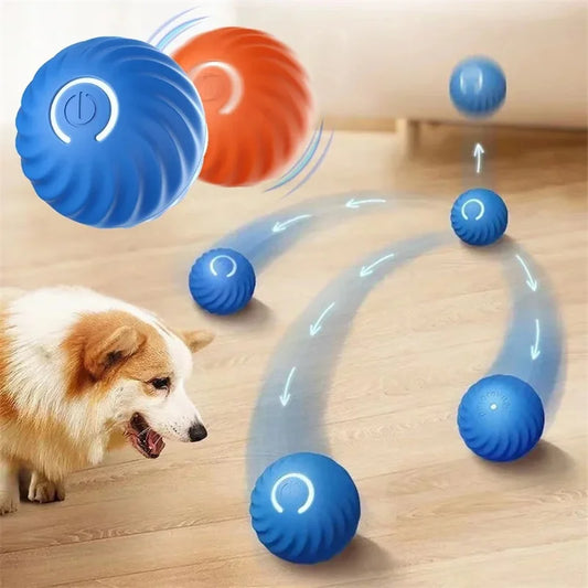 For Kittens and Puppies Smart Moving Dog Ball Toy USB